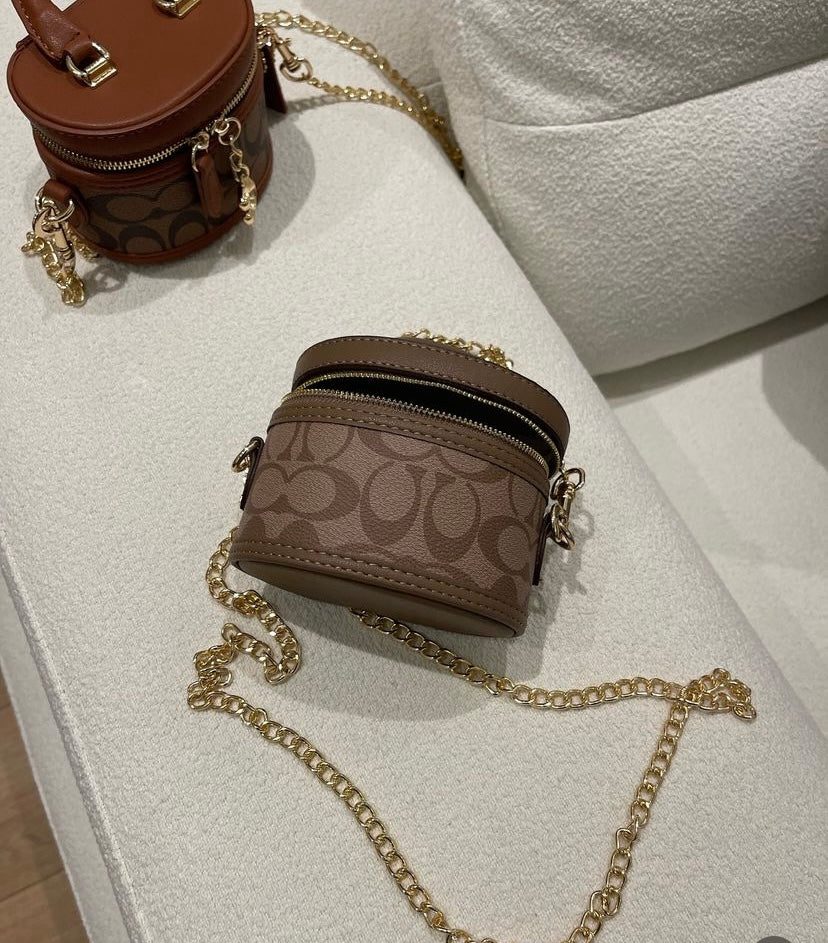 Coach Mini Bag